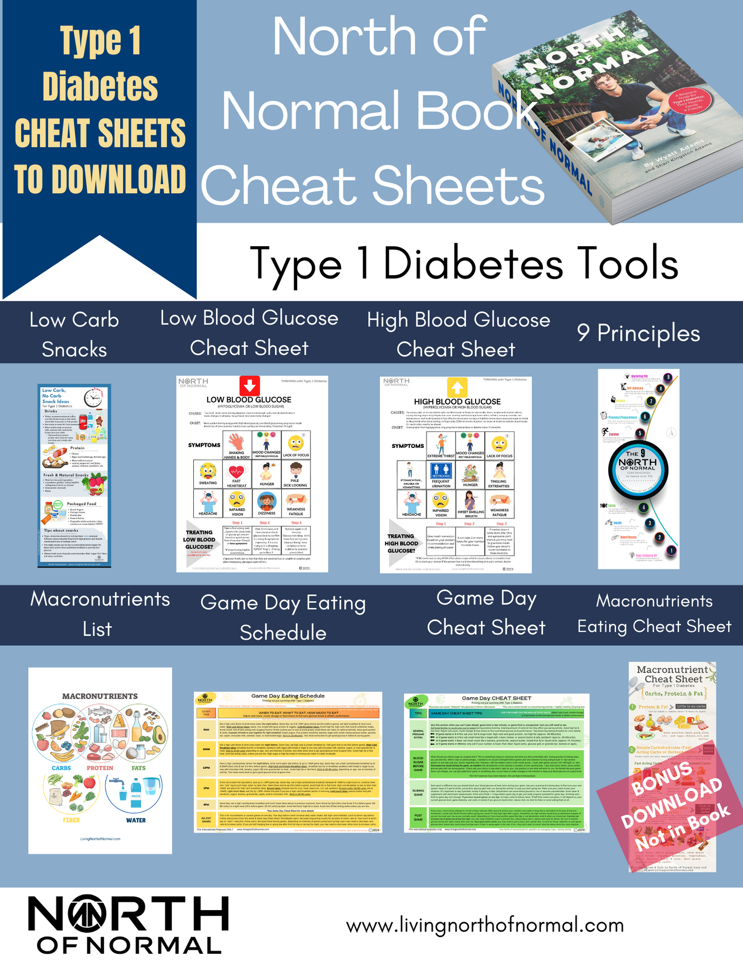 North of Normal™ Type 1 Diabetes Cheat Sheets